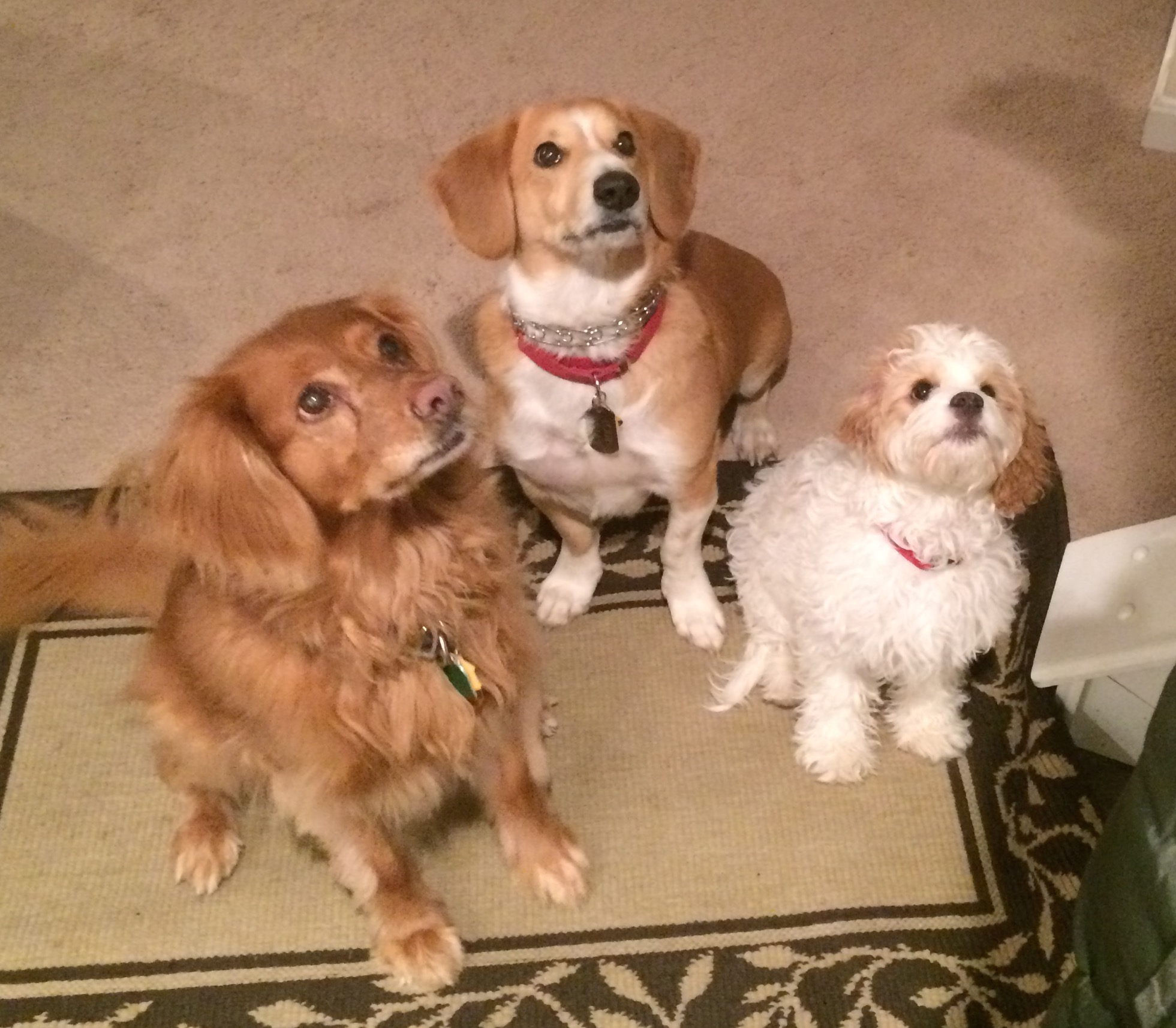 Envy–A Very Deadly Sin | Unleash Love