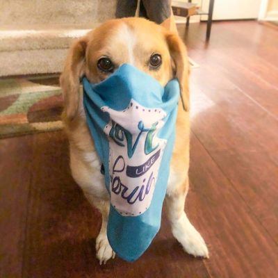 Back To Normal? No, Thank You!